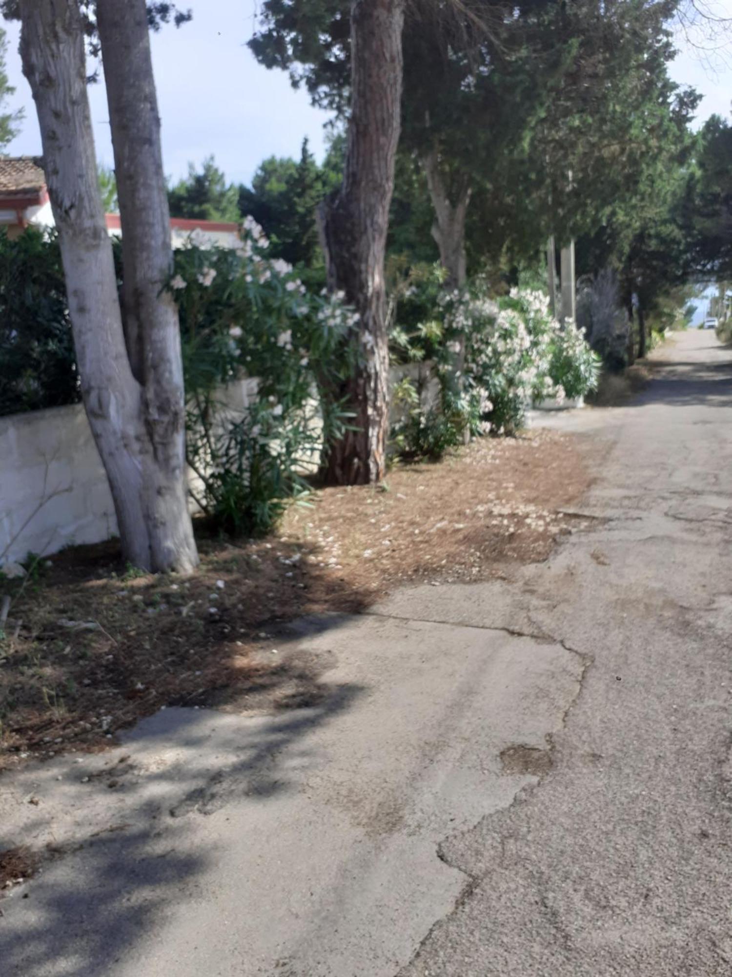 Villetta Dei Fiori, Vicino Spiaggia Di Punta Pizzo กัลลีโปลี ภายนอก รูปภาพ